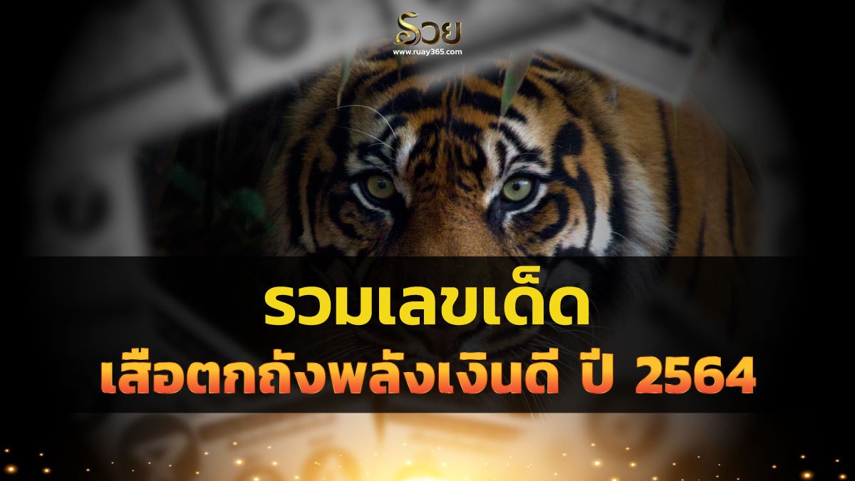 Tigerhuay Tigerhuay