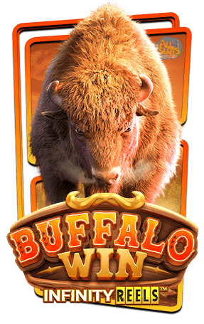 สล็อตBuffalo Win