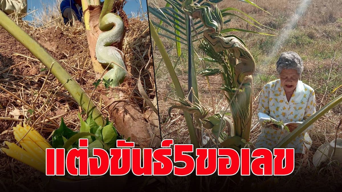 แต่งขันธ์ 5 ขอเลข